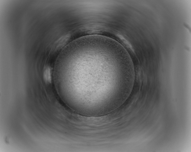X0000096670026200802051233