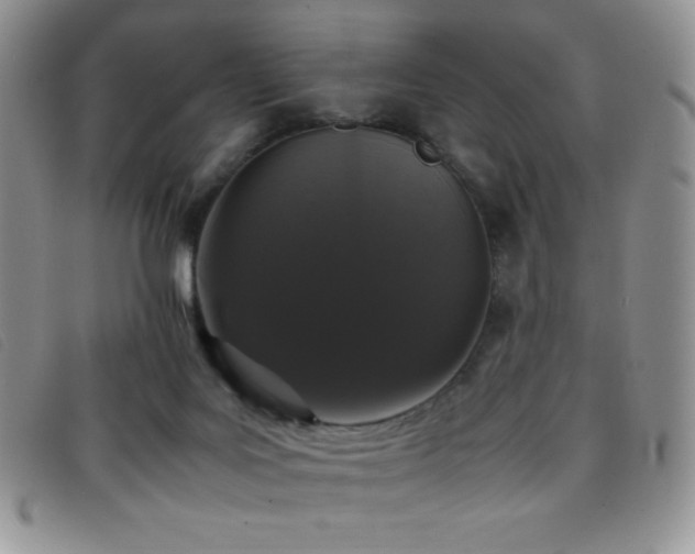 X0000096670027200802051233