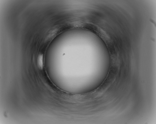 X0000096670028200802051233