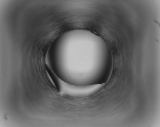 X0000096670029200802051233