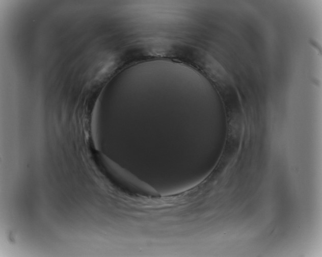 X0000096670031200802051233