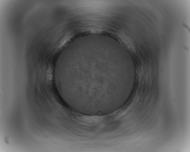 X0000096670032200802051233