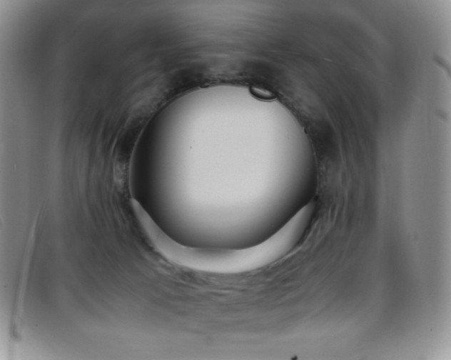 X0000096670033200802051233