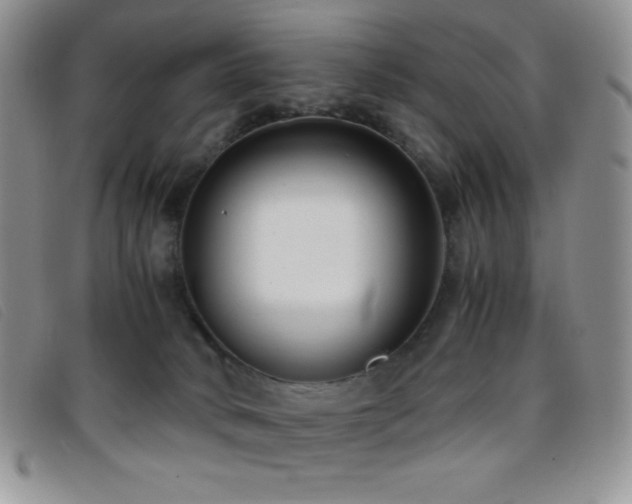 X0000096670034200802051233