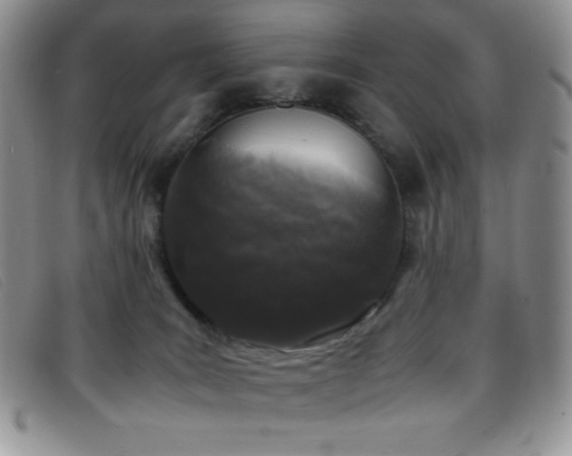 X0000096670035200802051233