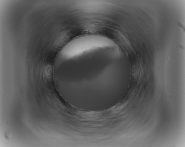 X0000096670036200802051233