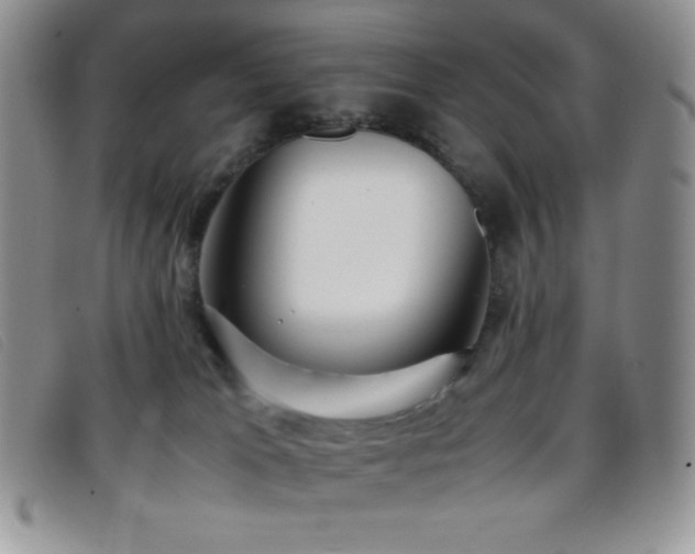 X0000096670037200802051233