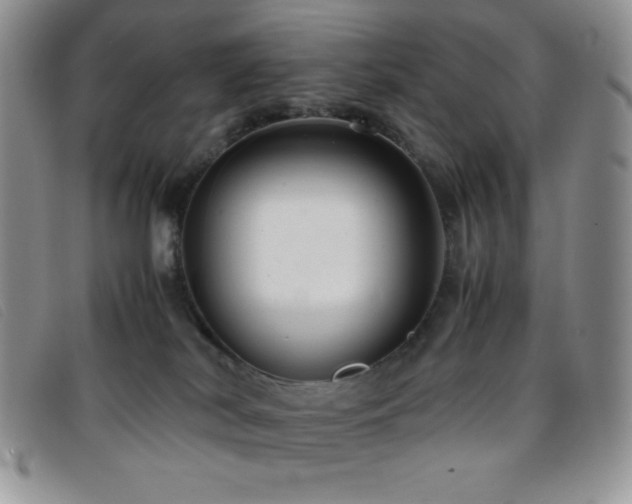 X0000096670038200802051233