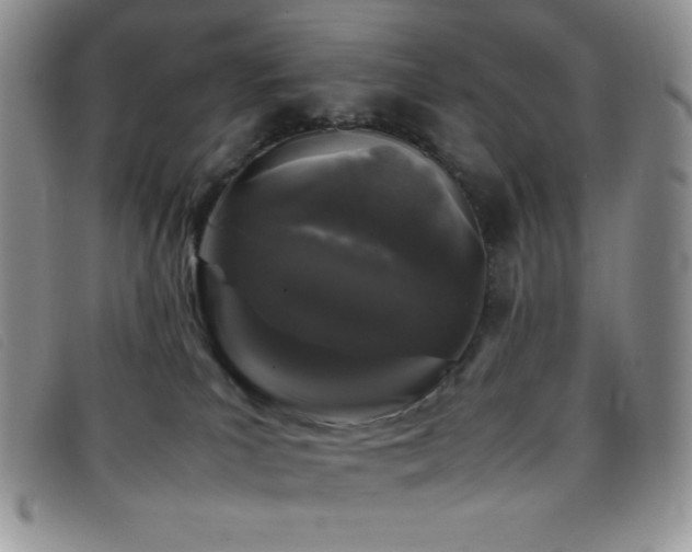 X0000096670039200802051233