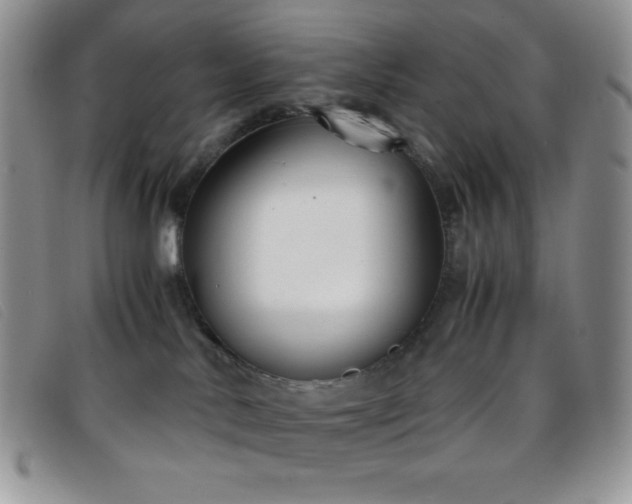X0000096670042200802051233
