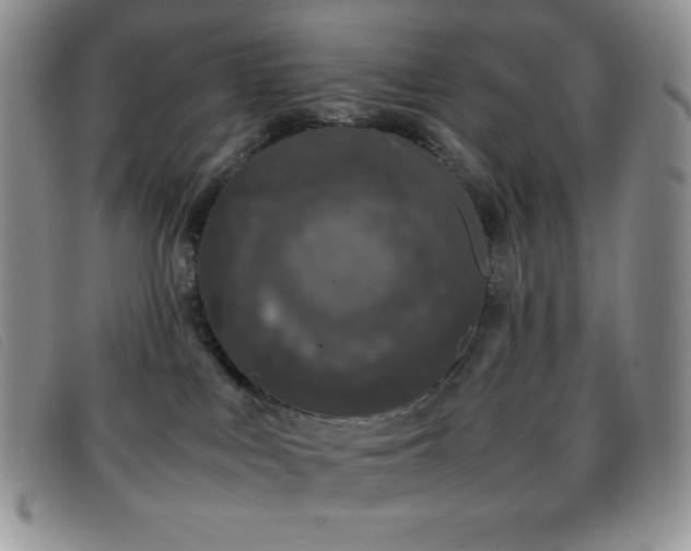 X0000096670043200802051233