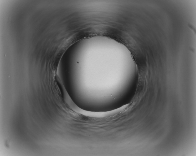 X0000096670045200802051233