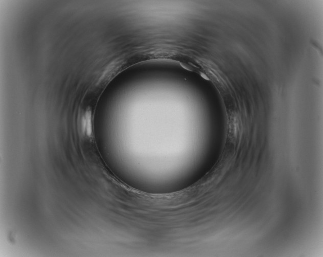 X0000096670046200802051233