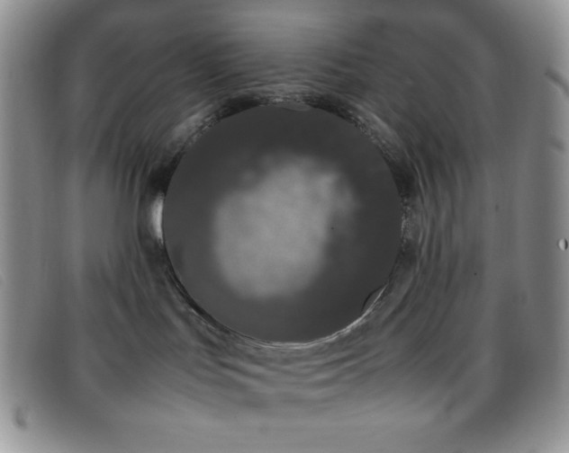 X0000096670047200802051233