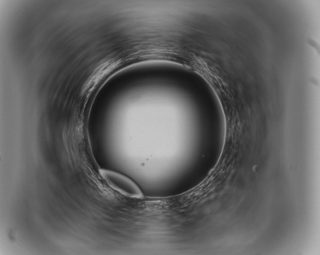 X0000096670050200802051232