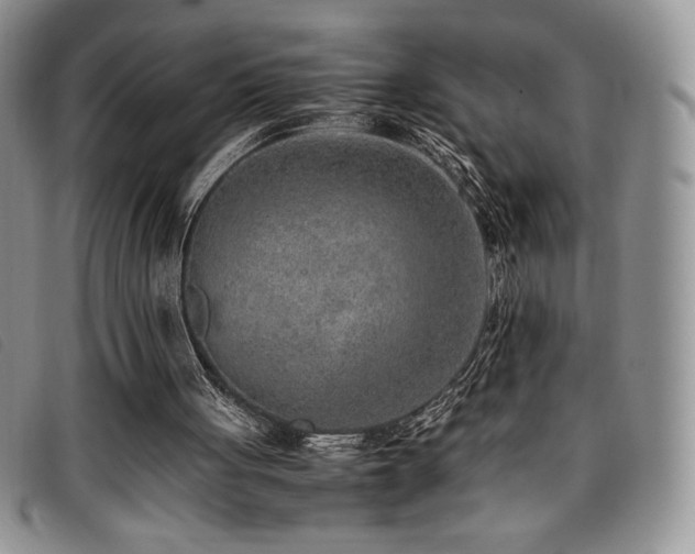 X0000096670051200802051232