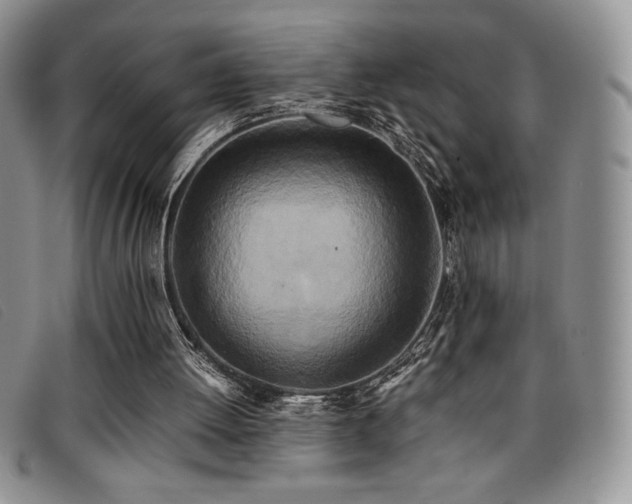 X0000096670052200802051232