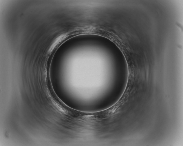 X0000096670054200802051232