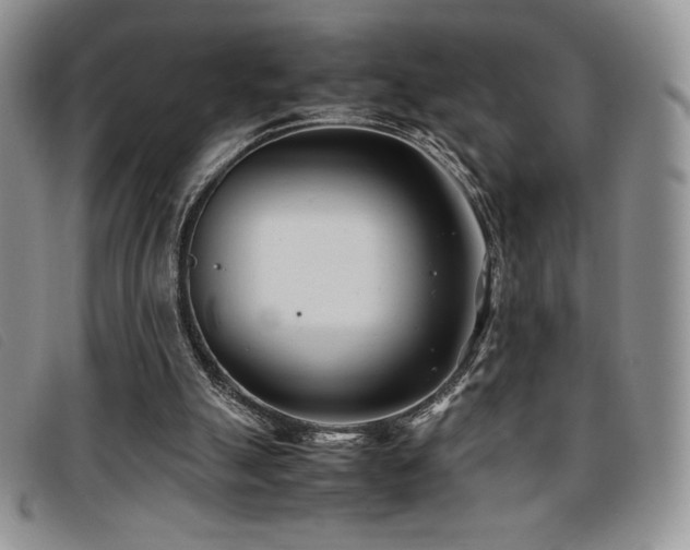 X0000096670055200802051232