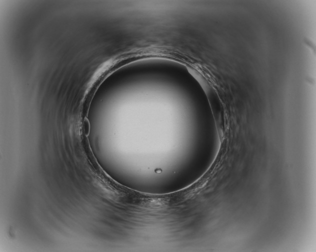 X0000096670056200802051232