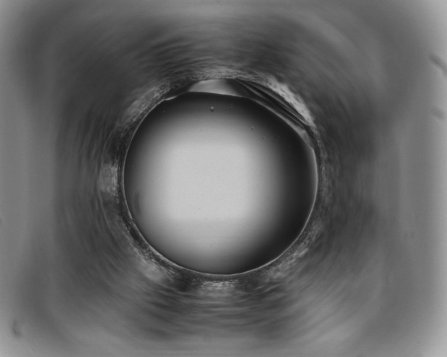 X0000096670057200802051232
