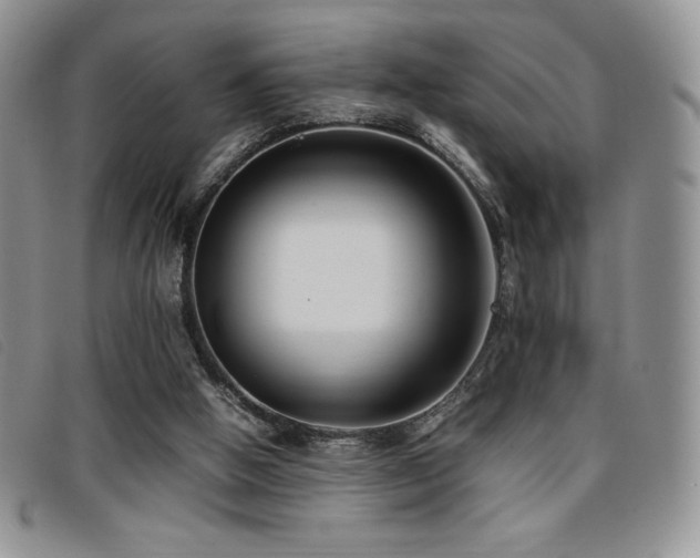 X0000096670058200802051232