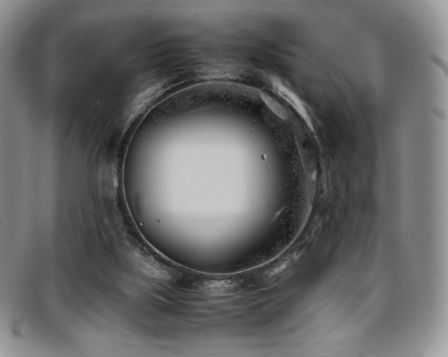 X0000096670059200802051232