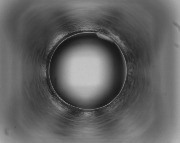 X0000096670060200802051232