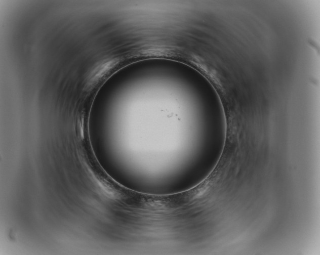 X0000096670062200802051232