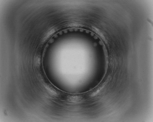 X0000096670063200802051232