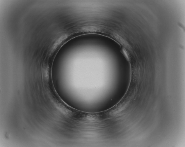 X0000096670064200802051232