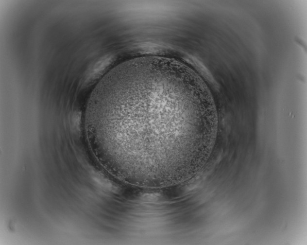 X0000096670066200802051232