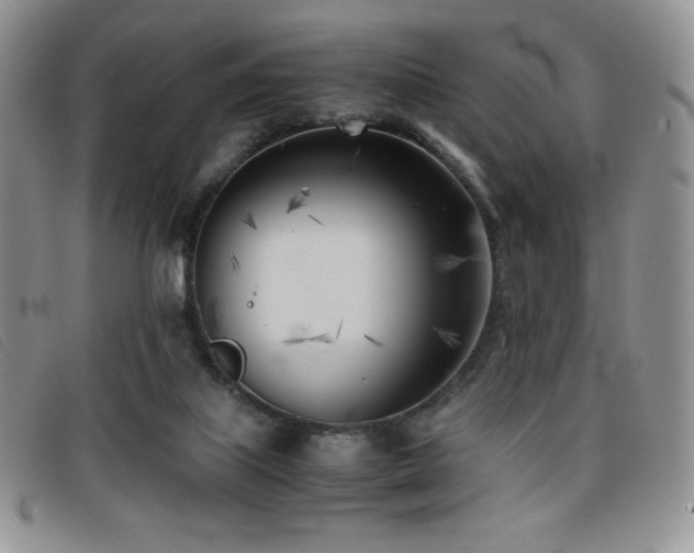 X0000096670067200802051232