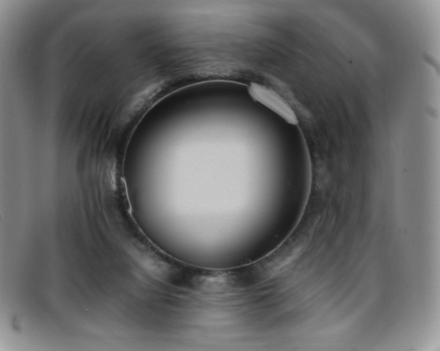 X0000096670068200802051232