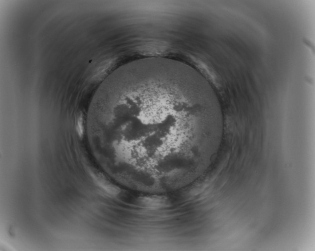 X0000096670069200802051232
