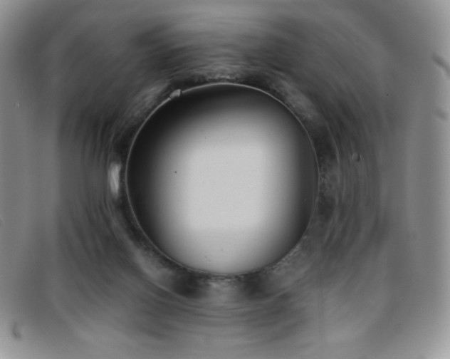 X0000096670070200802051232
