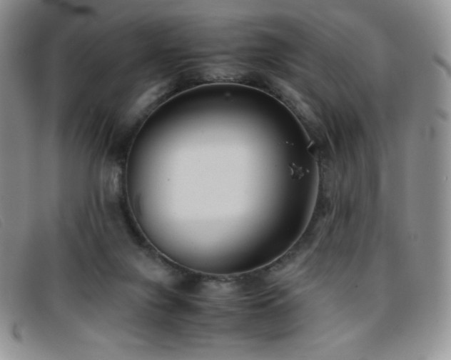 X0000096670071200802051232