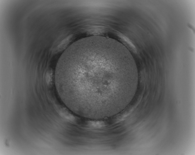 X0000096670073200802051232
