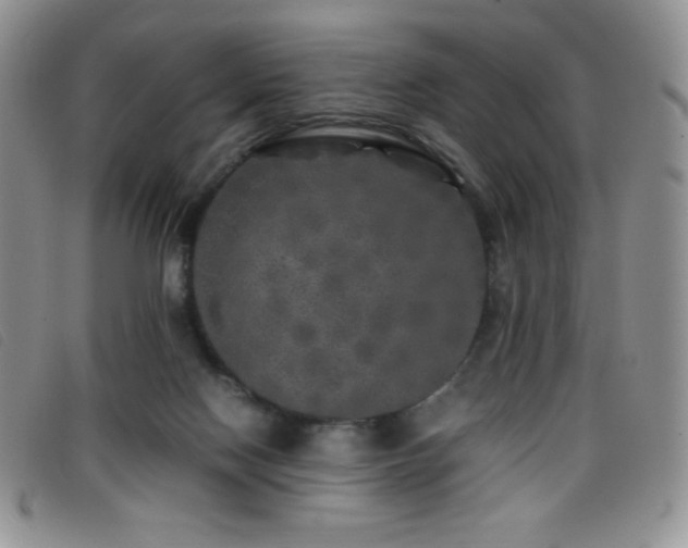 X0000096670074200802051232