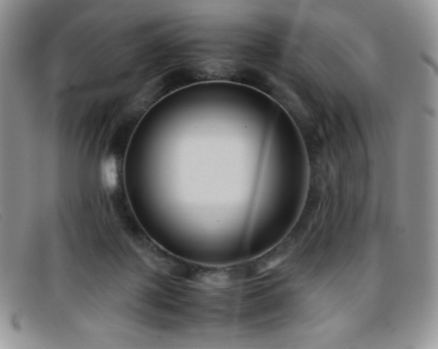 X0000096670075200802051232