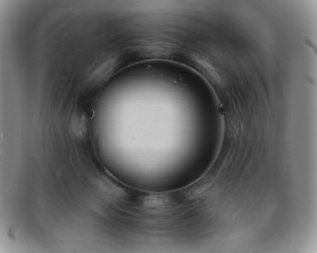 X0000096670077200802051233