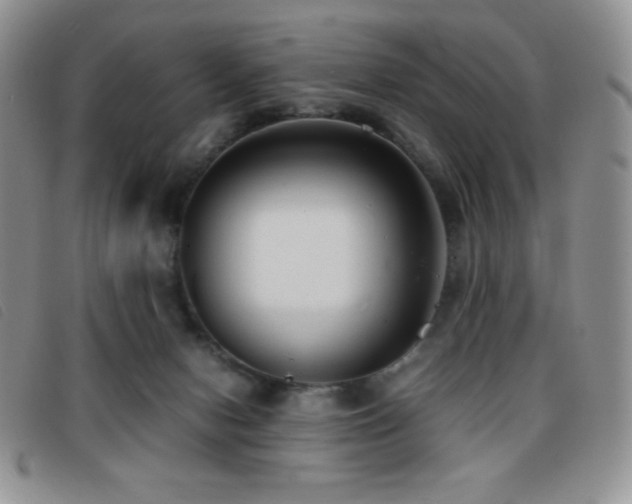 X0000096670078200802051233