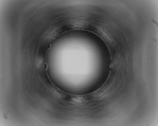 X0000096670079200802051233