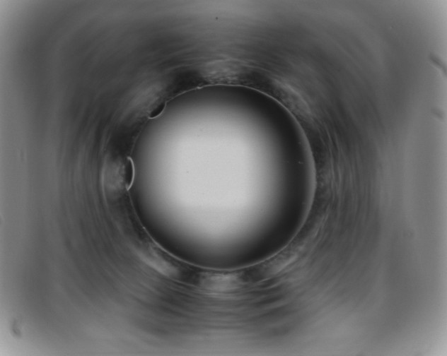 X0000096670081200802051233