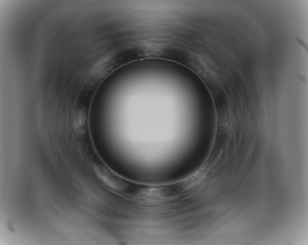 X0000096670082200802051233
