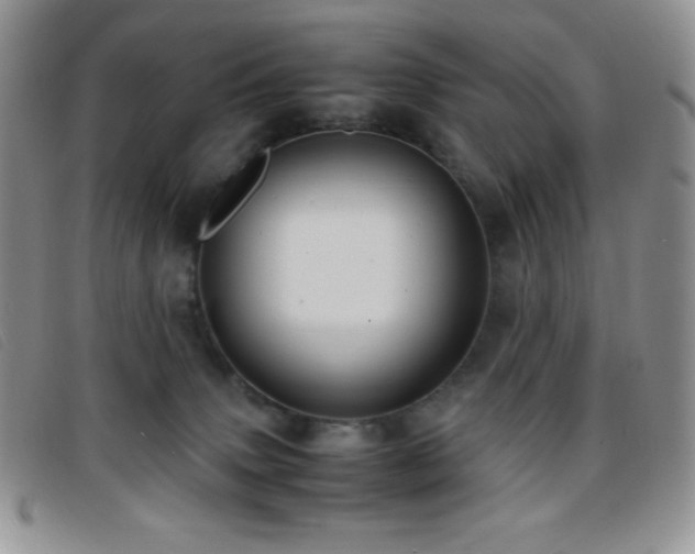 X0000096670083200802051233