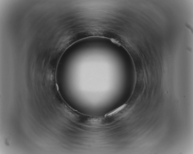 X0000096670084200802051233