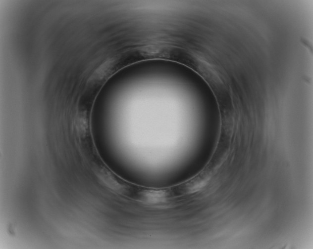X0000096670085200802051233
