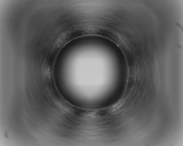 X0000096670086200802051233