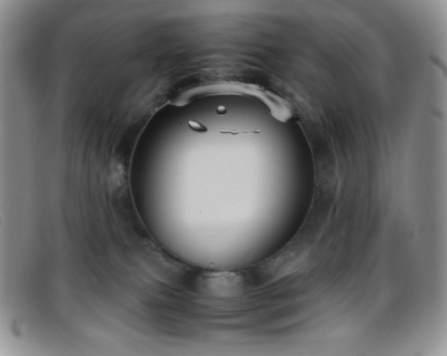 X0000096670087200802051233